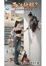 西汉缺粮我狂囤物资送边塞